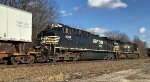 NS 4305 is new to rrpa.